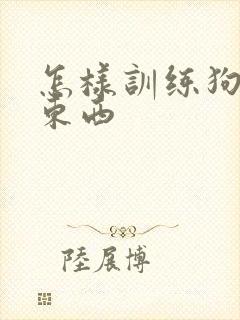 怎样训练狗狗叼东西