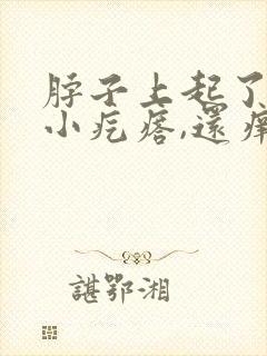 脖子上起了好多小疙瘩,还痒痒,是怎么回事