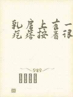 乳房上有一个硬疙瘩按着很疼