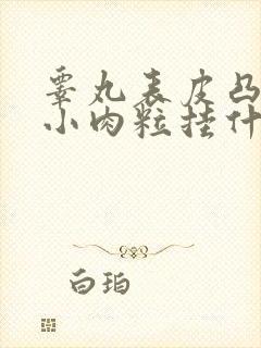 睾丸表皮凸起的小肉粒挂什么科