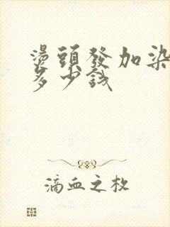 烫头发加染头发多少钱