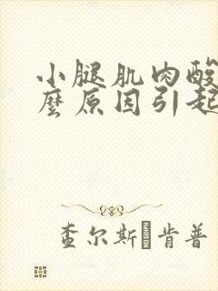 小腿肌肉酸痛什么原因引起的