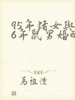 95年猪女与96年鼠男婚配如何