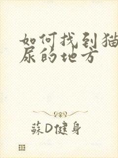 如何找到猫咪乱尿的地方封面