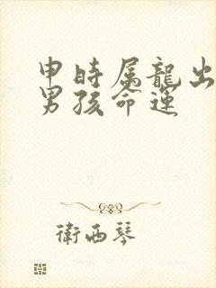 申时属龙出生的男孩命运