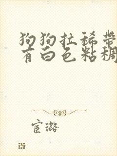 狗狗拉稀带血还有白色粘稠物