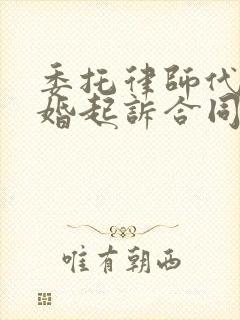 委托律师代理离婚起诉合同封面