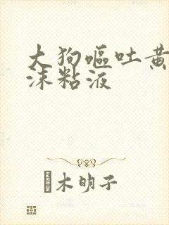 大狗呕吐黄水泡沫粘液