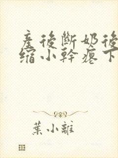 产后断奶后乳房缩小干瘪下垂怎么办