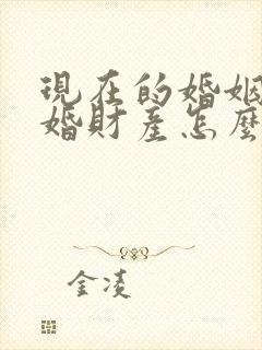 现在的婚姻法离婚财产怎么分配