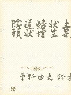 阴道鳞状上皮乳头状增生是什么病