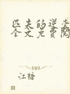 匹夫的逆袭小说全文免费阅读全文