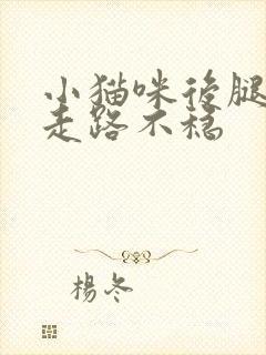 小猫咪后腿无力走路不稳封面