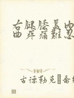 右腿膝盖内侧弯曲疼痛难忍