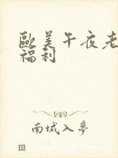 欧美午夜老司机福利