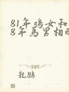 81年鸡女和78年马男相配婚姻如何