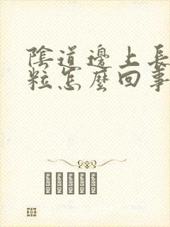 阴道边上长小肉粒怎么回事封面