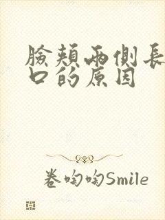 脸颊两侧长痘闭口的原因