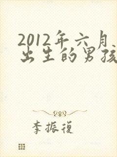 2012年六月出生的男孩命运