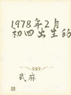 1978年2月初四出生的马一生命运