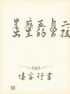 农历五月二十八出生的男孩命运好吗