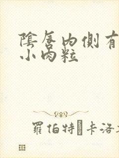 阴唇内侧有一排小肉粒封面