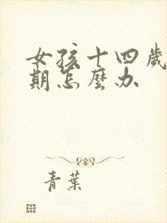 女孩十四岁叛逆期怎么办