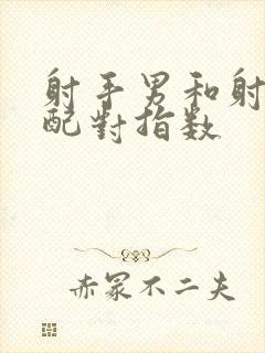 射手男和射手女配对指数封面