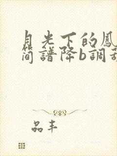 月光下的凤尾竹简谱降b调葫芦丝