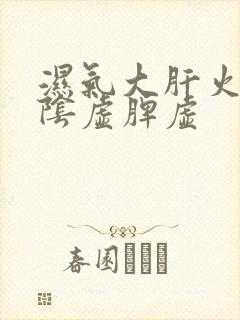 湿气大肝火旺肾阴虚脾虚