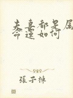 夫妻都是属狗的命运如何封面