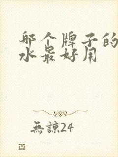 哪个牌子的洗发水最好用