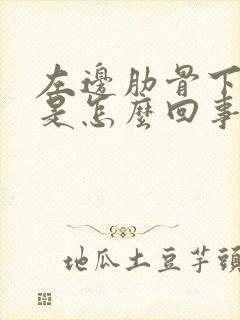 左边肋骨下刺疼是怎么回事封面