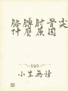 胳膊肘骨尖疼是什么原因