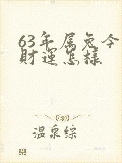 63年属兔今日财运怎样