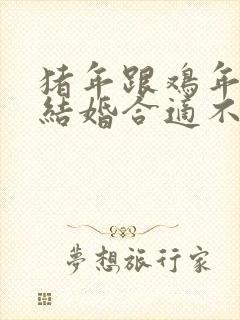 猪年跟鸡年两个结婚合适不