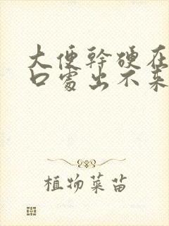 大便干硬在肛门口处出不来怎么办