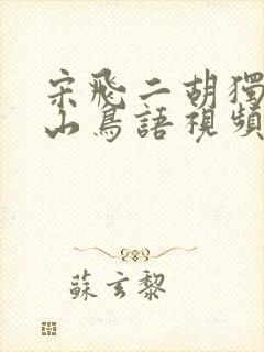 宋飞二胡独奏空山鸟语视频