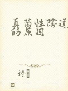 真菌性阴道发炎的原因