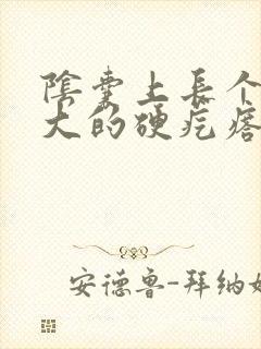 阴囊上长个粉刺大的硬疙瘩