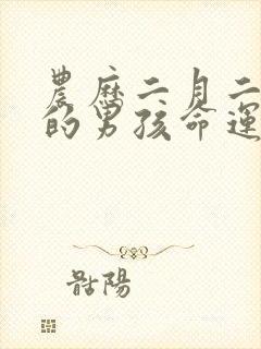 农历二月二出生的男孩命运