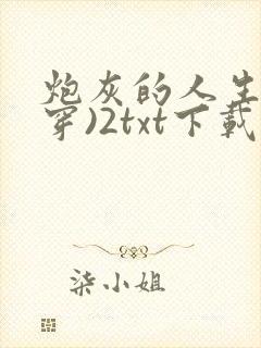 炮灰的人生(快穿)2txt下载