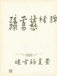 孩子情绪脾气暴躁易怒