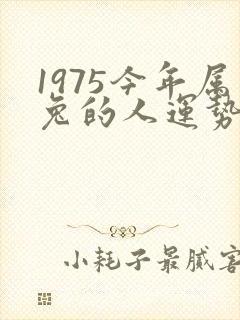 1975今年属兔的人运势怎样封面