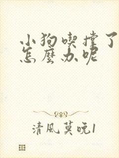 小狗吃撑了拉稀怎么办呢封面