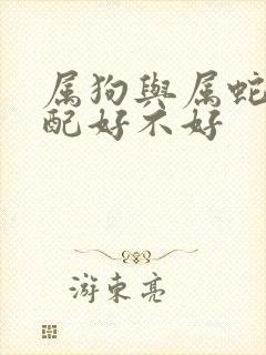属狗与属蛇的婚配好不好封面