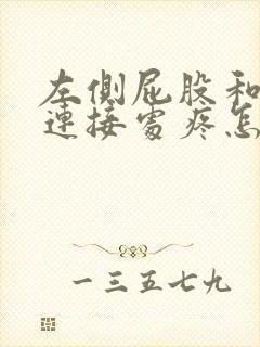 左侧屁股和腰的连接处疼怎么回事封面