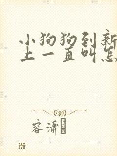 小狗狗到新家晚上一直叫怎么办