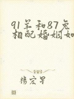 91羊和87兔相配婚姻如何