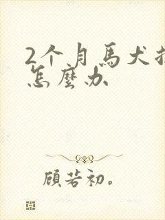 2个月马犬拉稀怎么办